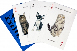 купить Карты игральные сувенирные "Все кошки"